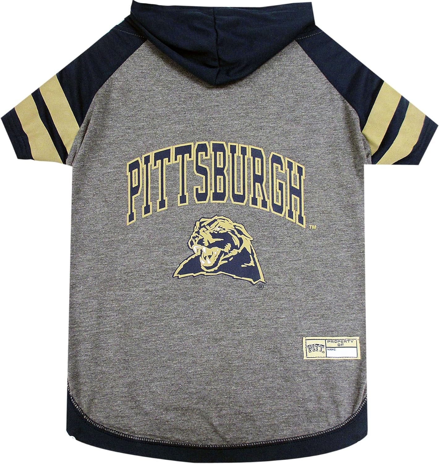 Pittsburg Hoodie T-Shirt, Medium