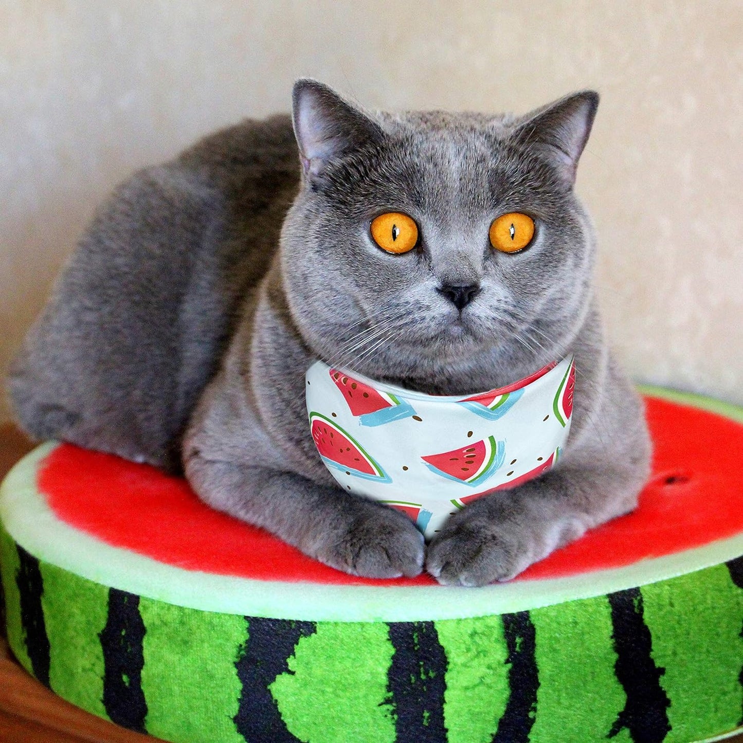 2 Pack Summer Dog Cat Bandana, Strawberry Watermelon Bandana for Small Medium Large Dogs Pets Puppies Pets (Strawberry/Watermelon)