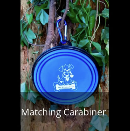 2 Pack XL 34Oz Collapsible Travel Bowls for Larger Pets