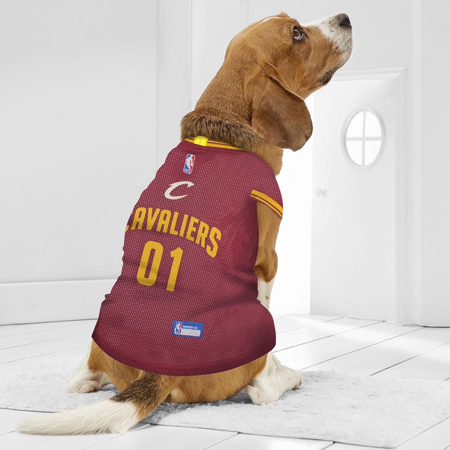 NBA CLEVELAND CAVALIERS DOG Jersey, X-Large - Tank Top Basketball Pet Jersey