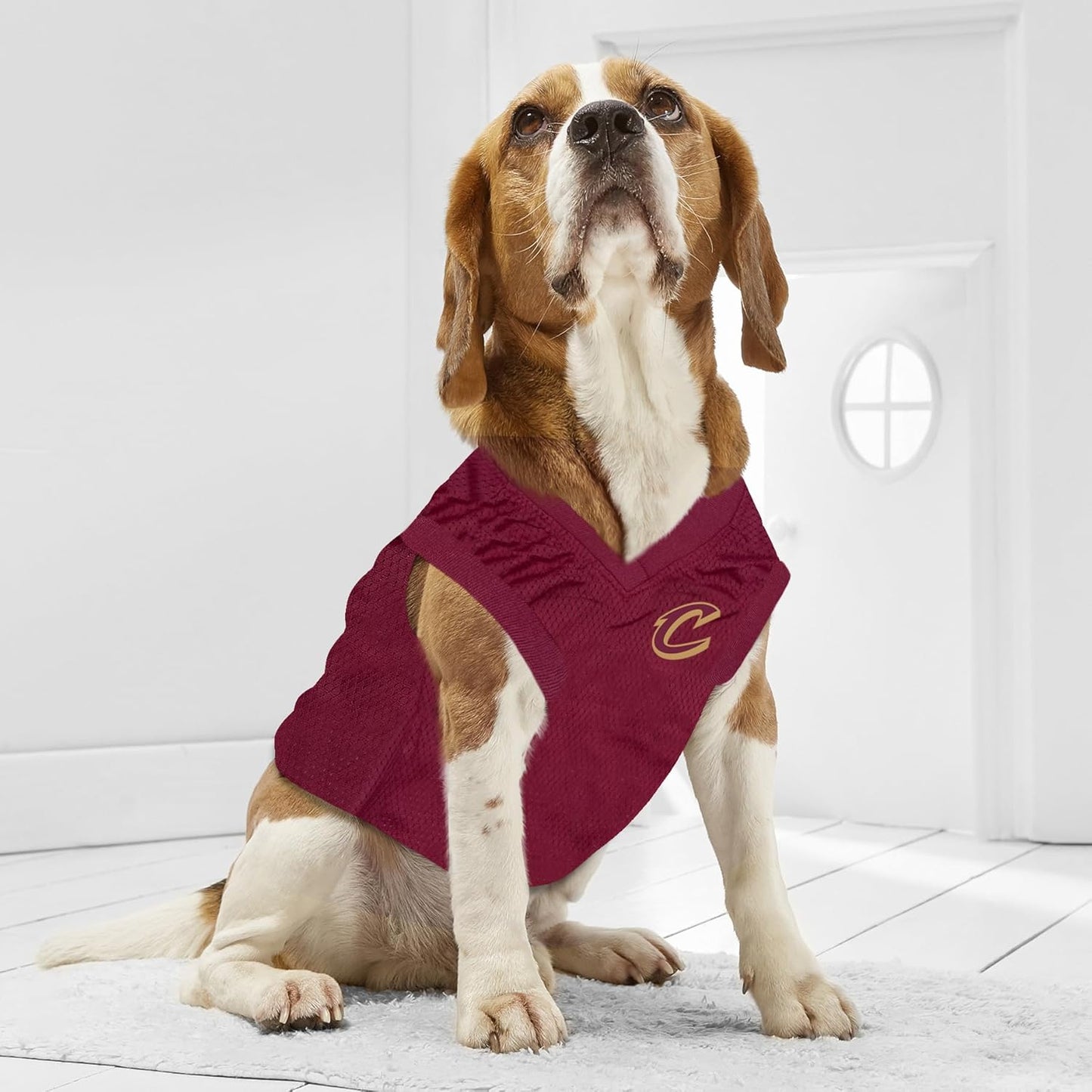 NBA CLEVELAND CAVALIERS DOG Jersey, X-Large - Tank Top Basketball Pet Jersey