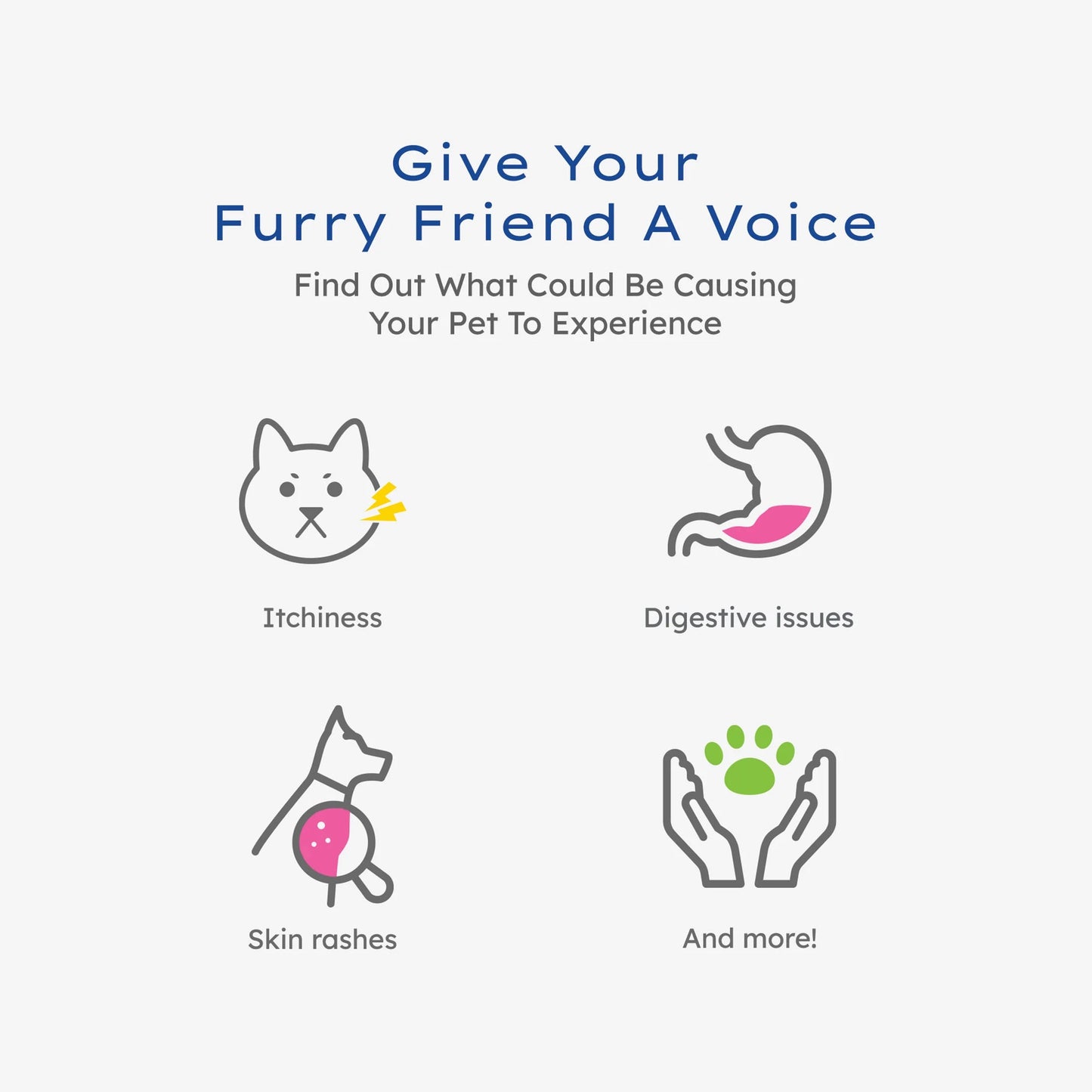 Intolerance Testing Kit for Pets