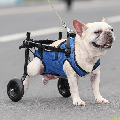 Small Dog Wheelchair, Adjustable Dog Wheelchairs-Mobility Aids for Disabled Pets, Suitable for Pets Weighing 8-20 Pounds