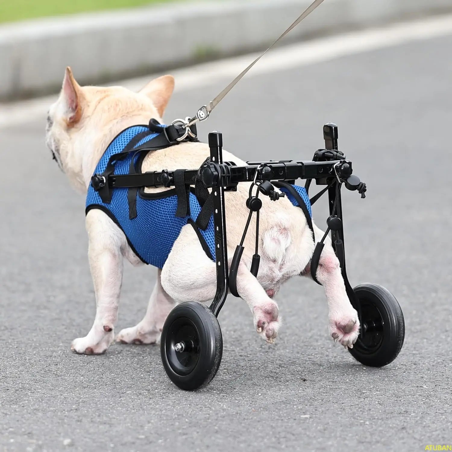 Small Dog Wheelchair, Adjustable Dog Wheelchairs-Mobility Aids for Disabled Pets, Suitable for Pets Weighing 8-20 Pounds
