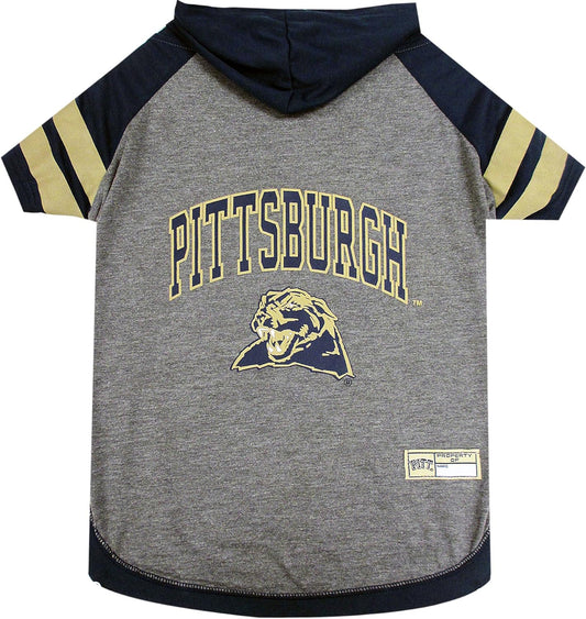 Pittsburg Hoodie T-Shirt, Medium